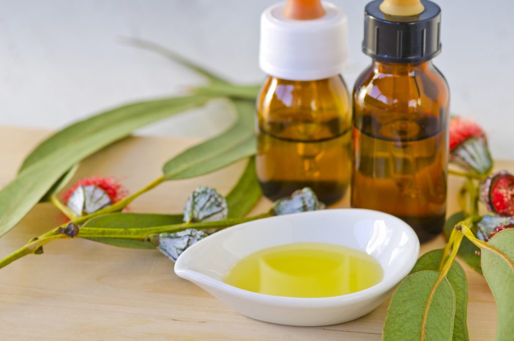 eucalyptus olie