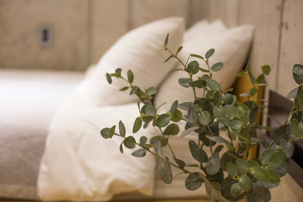 eucalyptus binnen verzorgen