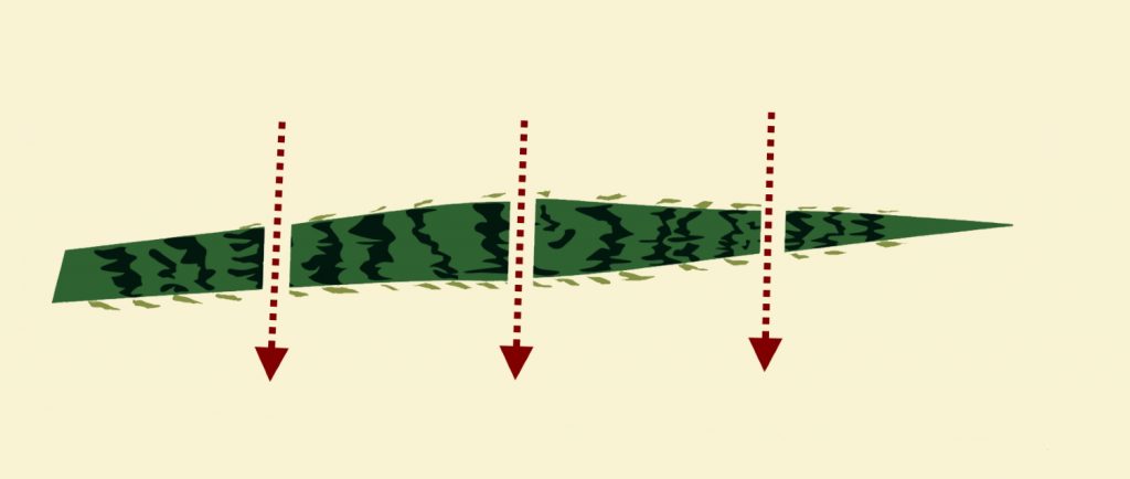 Sanseveria blad stekken in stukken knippen