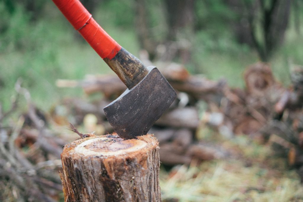 bomen kappen