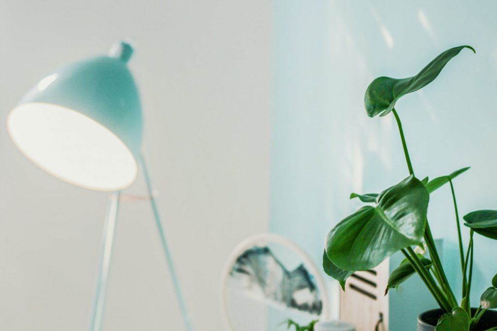 planten verlichting binnen