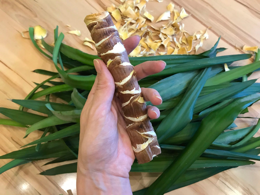 yucca stekken stap 1