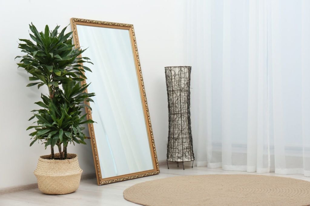 Dracaena verzorging