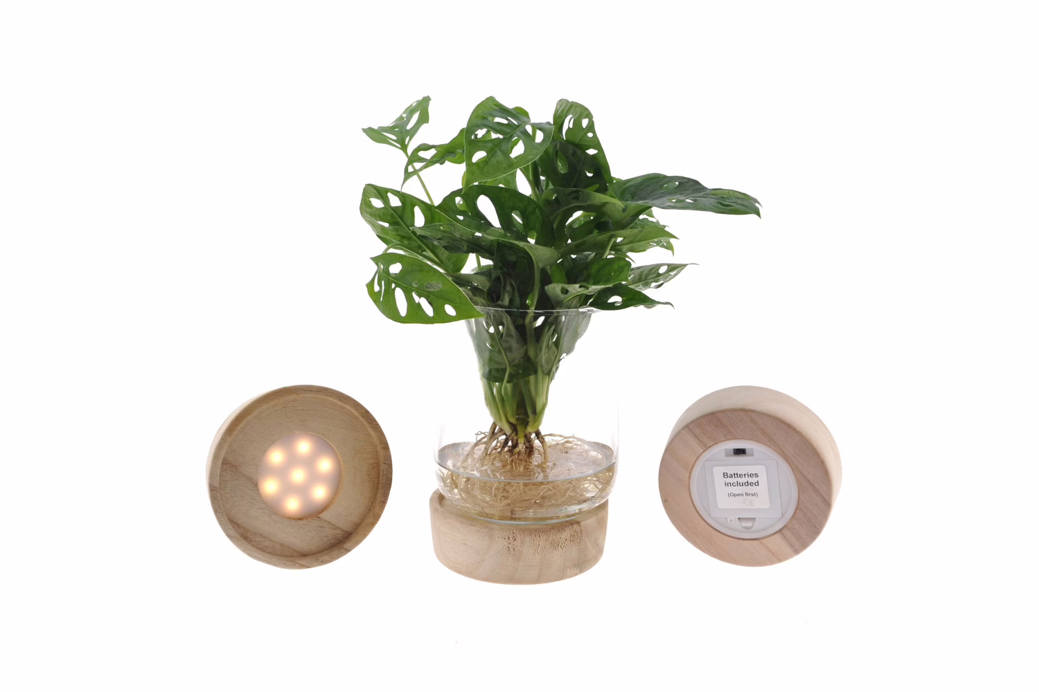 Hydroponie met licht
