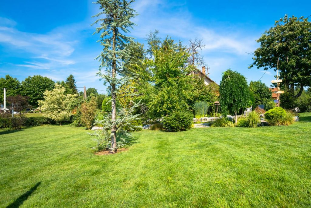 leven in de tuin