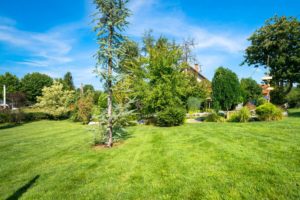 leven in de tuin